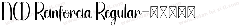 NCD Reinforcia Regular字体转换